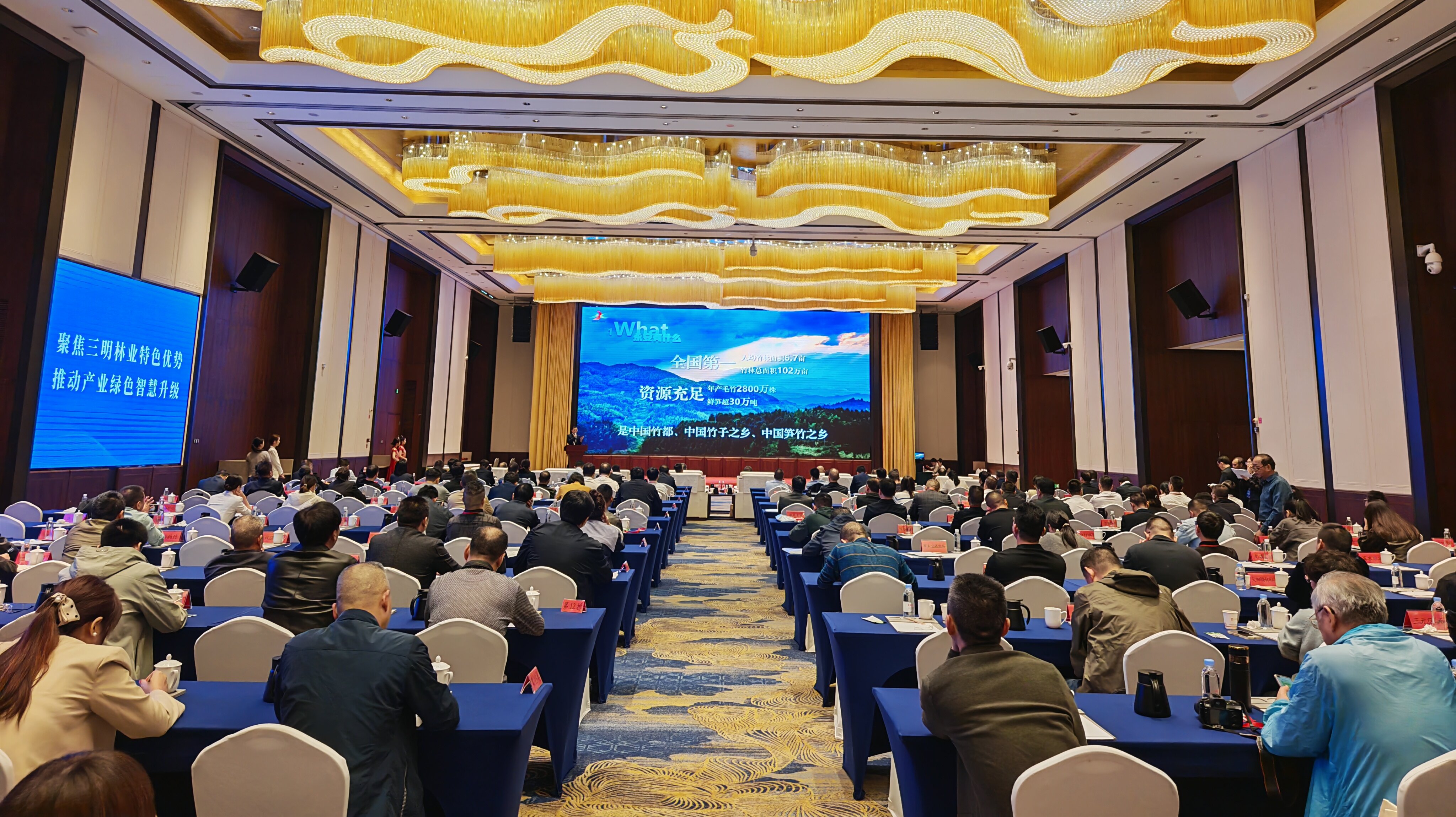 1762915030490027611.jpg 11.jpg